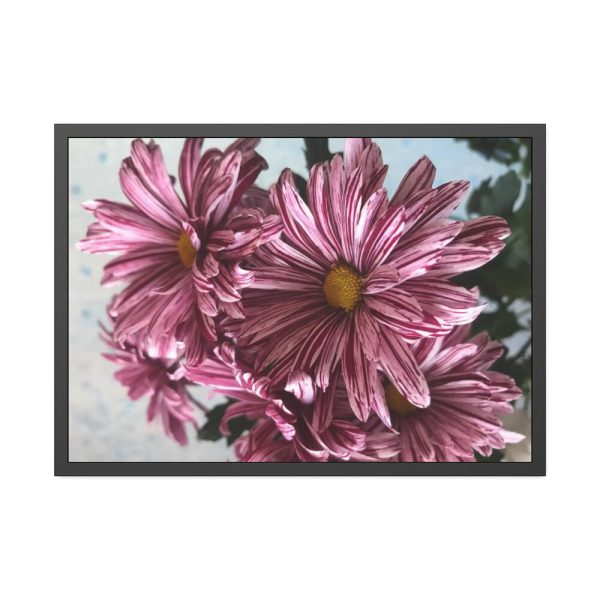 93854-376.jpg Pink-White Daisies Framed Poster