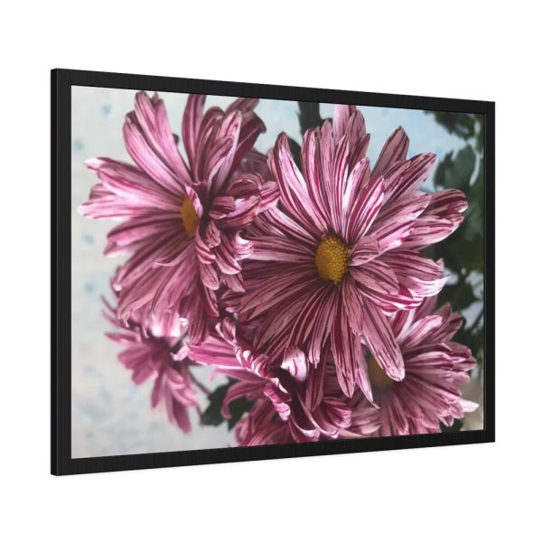 93854-377.jpg Pink-White Daisies Framed Poster