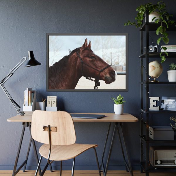 93854-390.jpg The Side of the Head of a Brown Horse Framed Poster