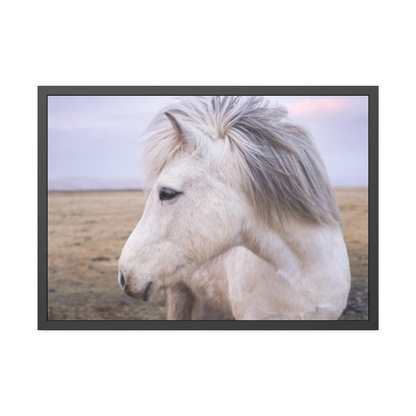 93854-396.jpg A Close-up of a Gray Horse Framed Poster