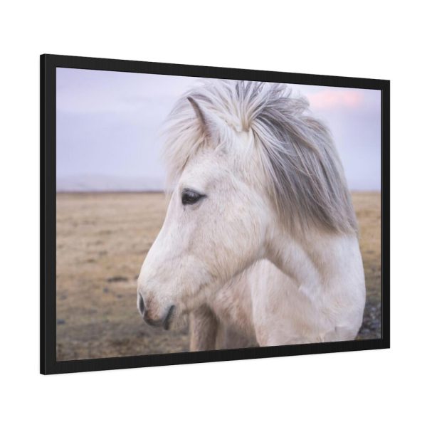 93854-397.jpg A Close-up of a Gray Horse Framed Poster