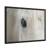 93854-409.jpg Half of a White Horse Face Framed Poster