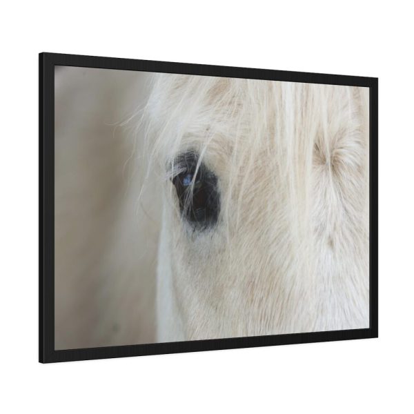 93854-409.jpg Half of a White Horse Face Framed Poster