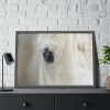 93854-411.jpg Half of a White Horse Face Framed Poster