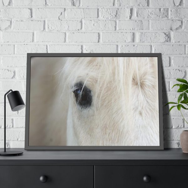 93854-411.jpg Half of a White Horse Face Framed Poster
