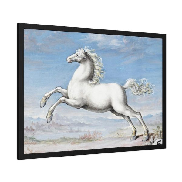 White horse Painting by Joris Hoefnagel Framed Poster