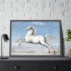 White horse Painting by Joris Hoefnagel Framed Poster