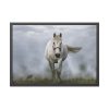 93854-416.jpg White Horse Galloping Framed Poster
