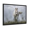 93854-417.jpg White Horse Galloping Framed Poster