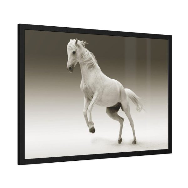 93854-421.jpg White Horse Framed Poster