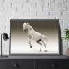 93854-423.jpg White Horse Framed Poster