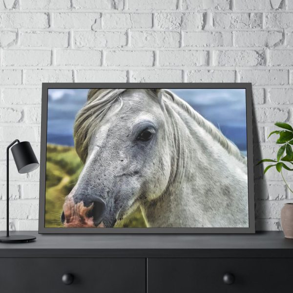 93854-427.jpg Closeup Shot of a White Horse Framed Poster