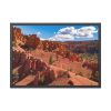 Dixie National Forest Framed Poster