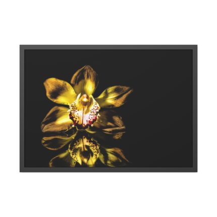 Bloom Orchid Framed Poster