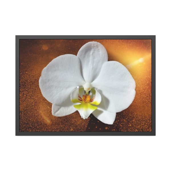 Blossom Orchid Flower Framed Poster