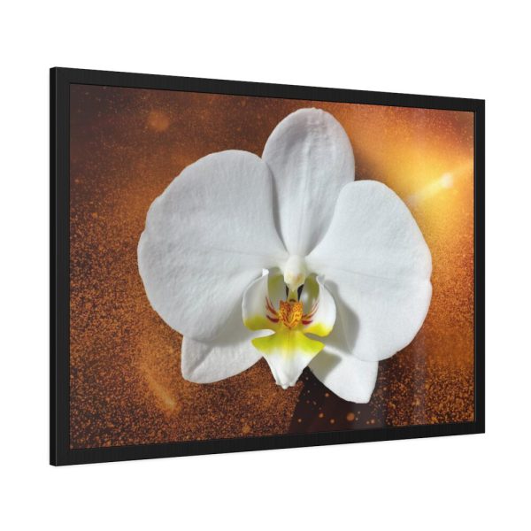 Blossom Orchid Flower Framed Poster