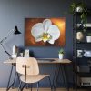 Blossom Orchid Flower Framed Poster