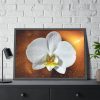 Blossom Orchid Flower Framed Poster