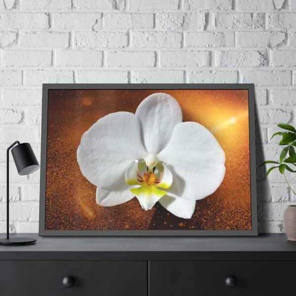 Blossom Orchid Flower Framed Poster