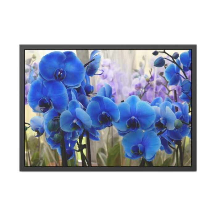 Blue Orchids Framed Poster - Image 1