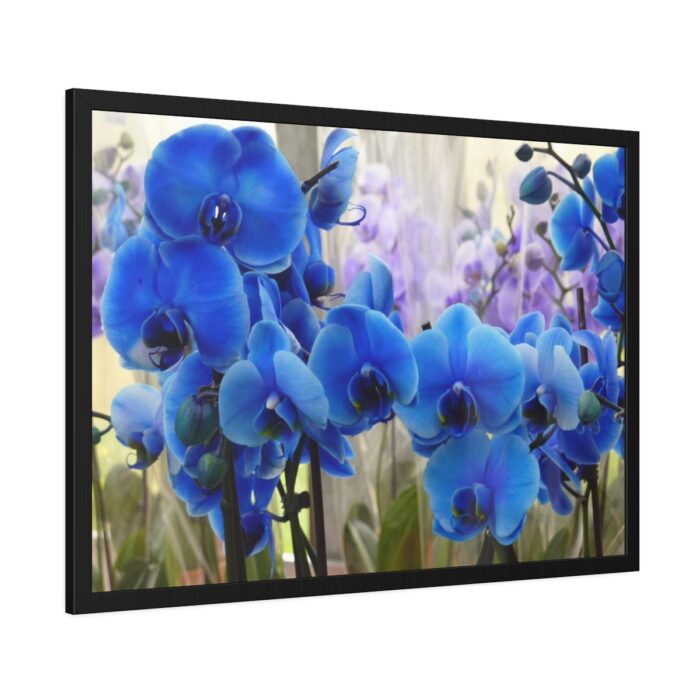 Blue Orchids Framed Poster - Image 2