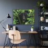 93854-470.jpg Black Bear in the Bush Framed Poster