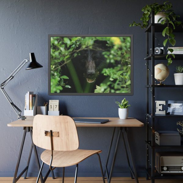 93854-470.jpg Black Bear in the Bush Framed Poster