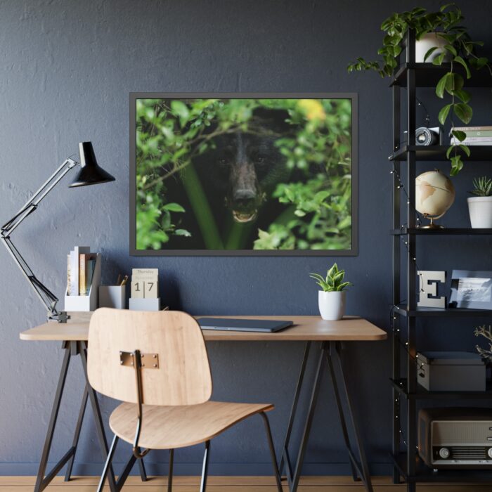 Black Bear in the Bush Framed Poster - Image 3