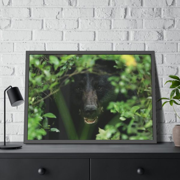 93854-471.jpg Black Bear in the Bush Framed Poster