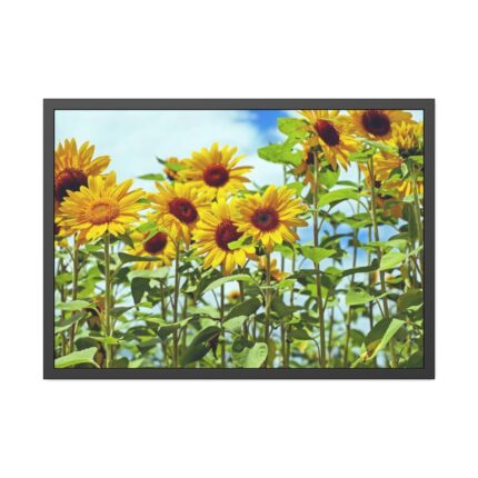 Bloom Sunflower Framed Poster