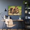 93854-494.jpg Brown Bear Wild Framed Poster