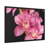 93854-497.jpg Cymbidium Hybrid Orchid Framed Poster