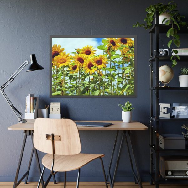 Bloom Sunflower Framed Poster