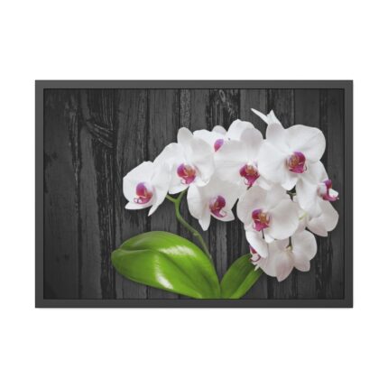 White Orchid Plant Framed Poster