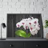 White Orchid Plant Framed Poster