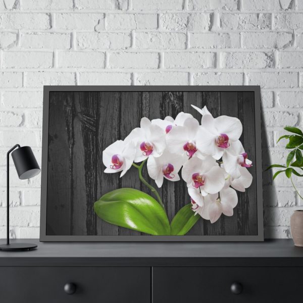 White Orchid Plant Framed Poster
