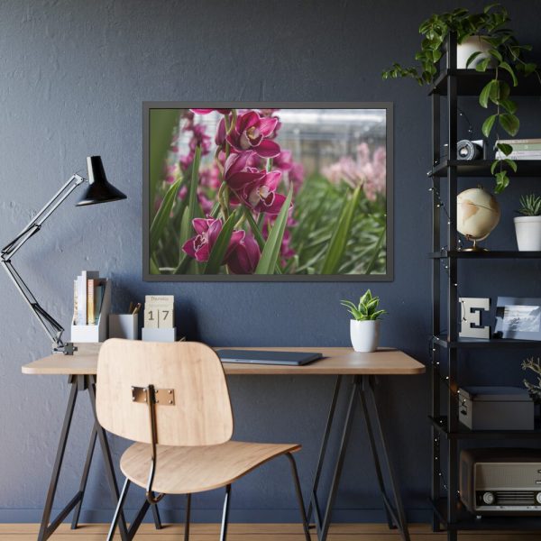Orchid Cash Plant Framed Poster