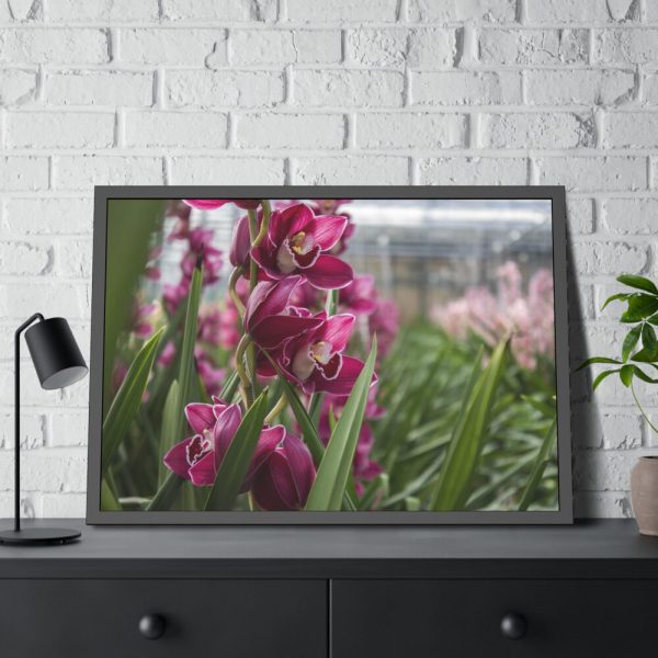Orchid Cash Plant Framed Poster