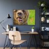 European Brown Bear Framed Poster