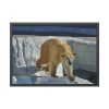 93854-520.jpg Wet Polar Bear Framed Poster