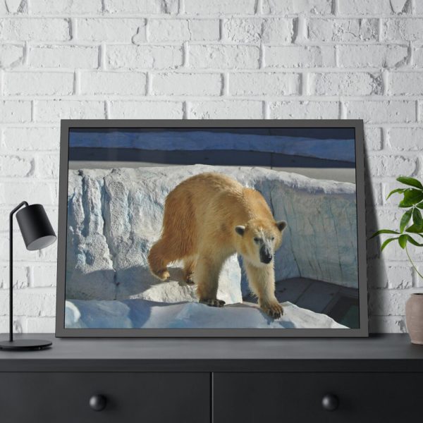 93854-523.jpg Wet Polar Bear Framed Poster