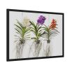 Three Orchids Framed Poster