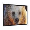 93854-533.jpg Syrian Bear Face Framed Poster