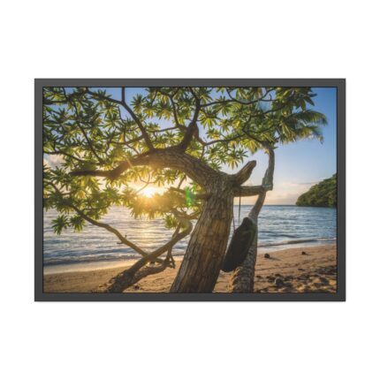 Sneaker Hanging from a Sand Beach Tree at Sunset Framed Poster