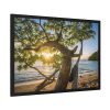 93854-545.jpg Sneaker Hanging from a Sand Beach Tree at Sunset Framed Poster