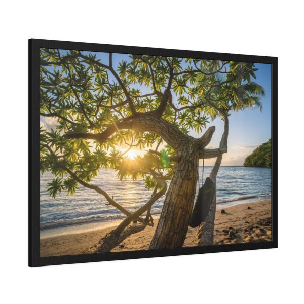 93854-545.jpg Sneaker Hanging from a Sand Beach Tree at Sunset Framed Poster