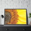 Closeup Sunflower Framed Poster
