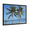 Palm Tree on the Beach Framed Poster