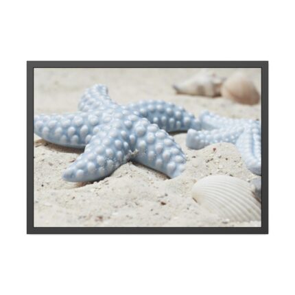 Starfish Framed Poster