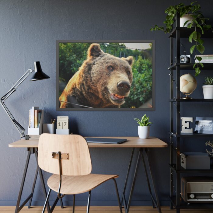 Grizzly Bear Snout Framed Poster - Image 3